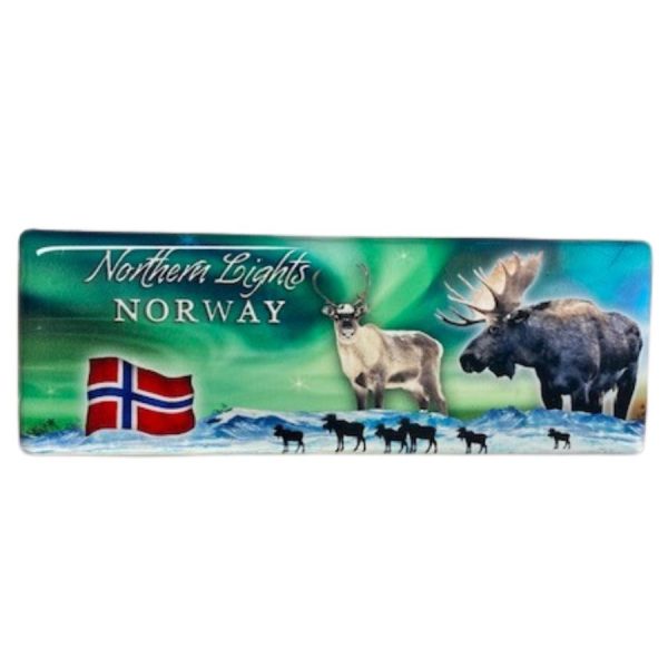 Magnet, bilde, Northern Lights Norway 2