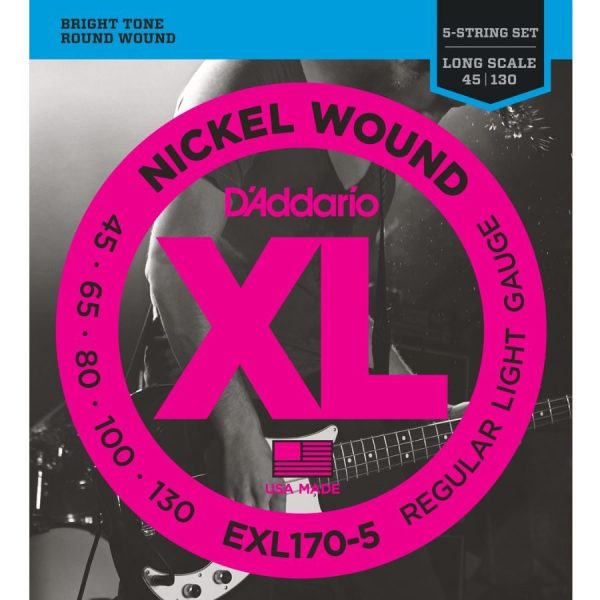 D'Addario Fretted EXL170-5