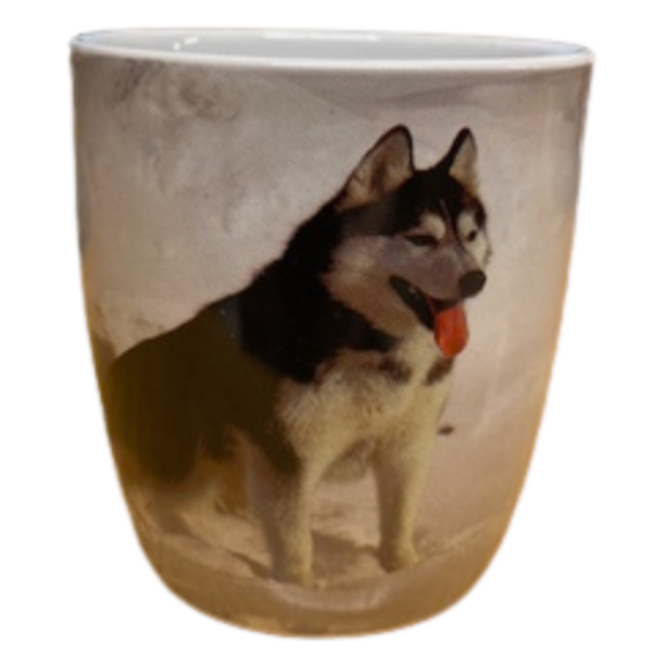 Krus med husky